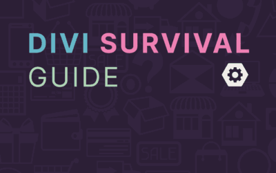 The Divi Survival Guide – a clear checklist (and the fixes you need)